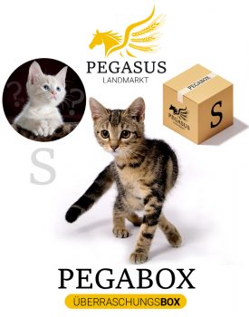 Pegabox S Überraschungsbox für Katzen