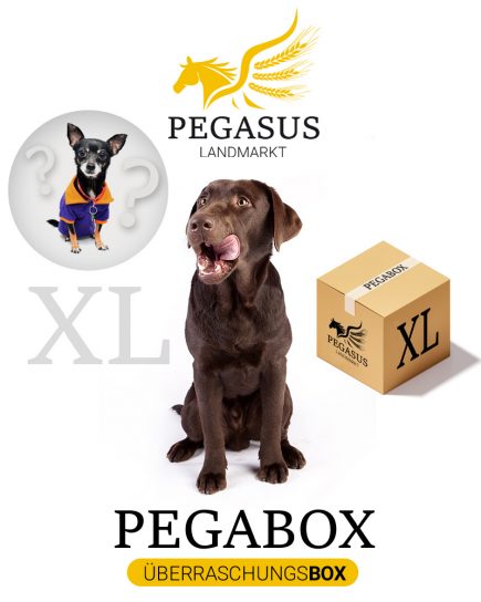 Pegabox XL Überraschungsbox für Hunde