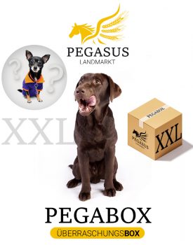 Pegabox XXL Überraschungsbox für Hunde