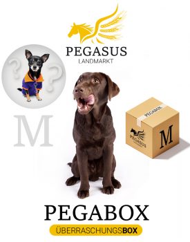 Pegabox M Überraschungsbox für Hunde