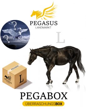 Pegabox L Überraschungsbox für Pferde