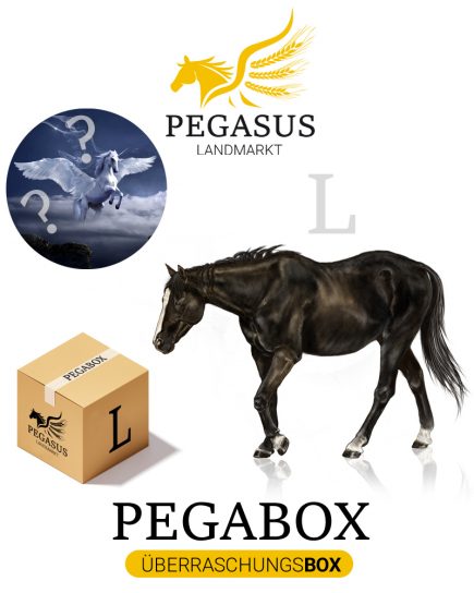 Pegabox L Überraschungsbox für Pferde