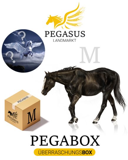 Pegabox M Überraschungsbox für Pferde