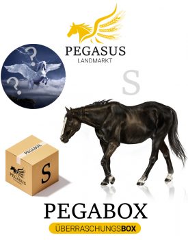 Pegabox S Überraschungsbox für Pferde