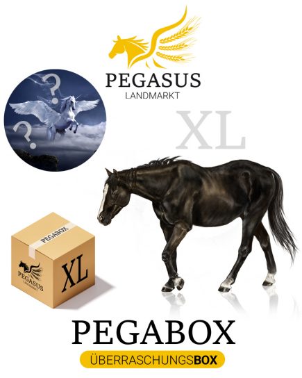 Pegabox XL Überraschungsbox für Pferde